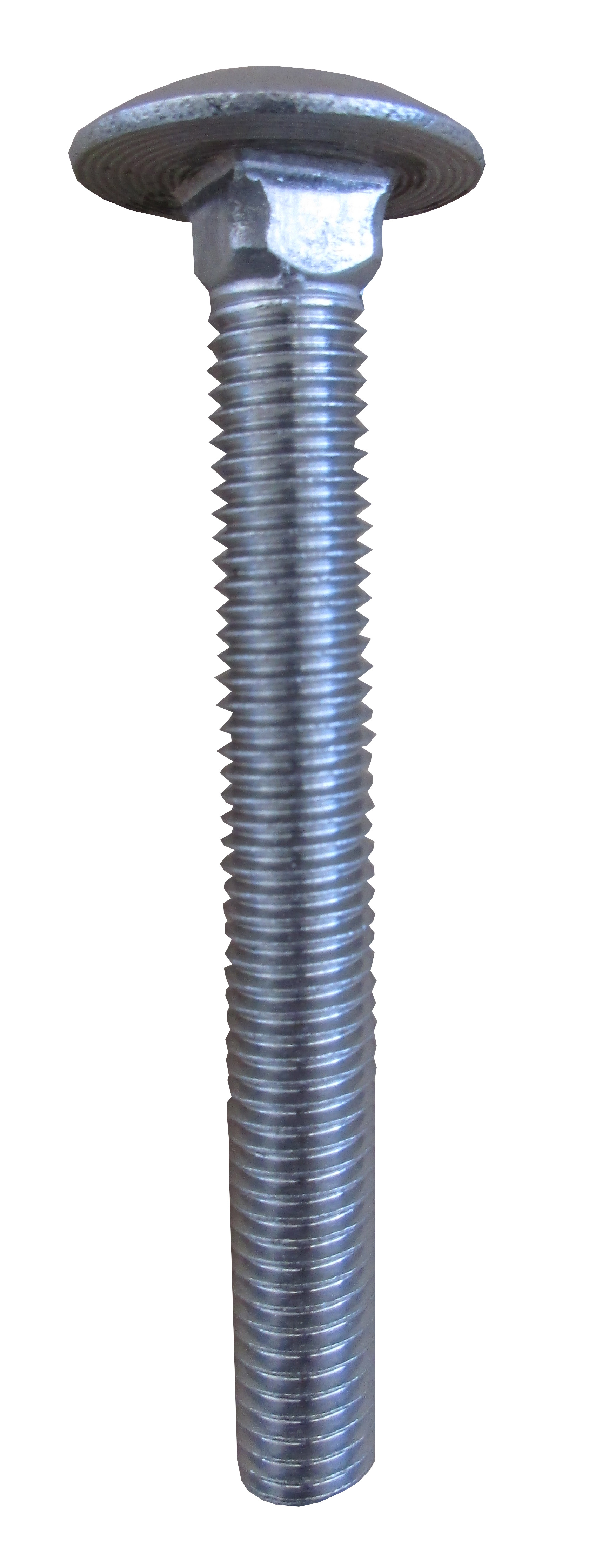 CARRIAGE BOLTS